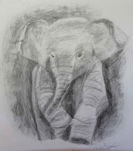 Maël éléphant crayon 9 ans 